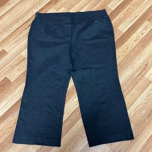 22/24 Lane Bryant pants